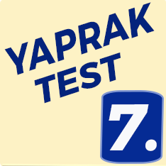 7. Sınıf Yaprak Test